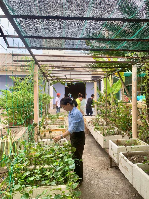 Ban quản lý Vịnh Nha Trang ra quân trồng cây xanh và dọn dẹp vệ sinh môi trường